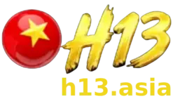 h13-logo